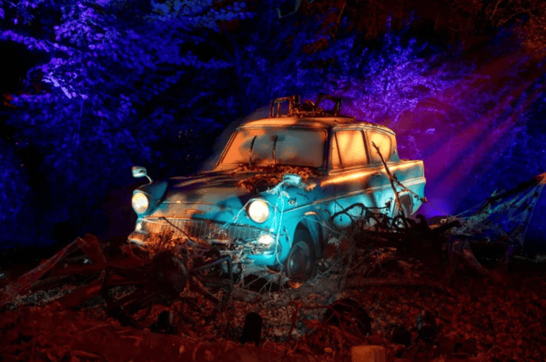 Harry Potter a Forbidden Forest Experience Chicago