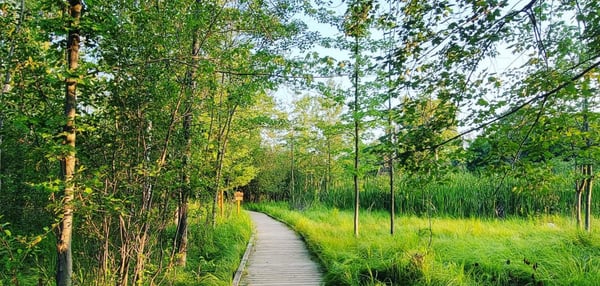 Top 10 Spots for a Summer Hike