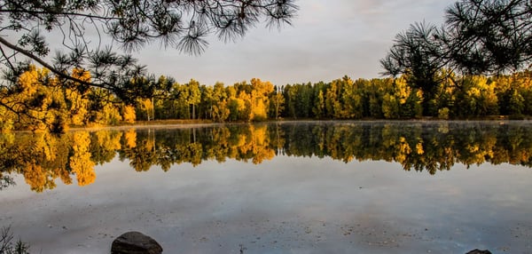 On the Line: Fishing the Stevens Point Area