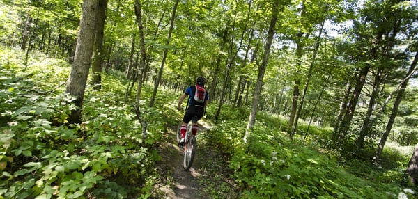 Gaining Traction and Making Tracks at Standing Rocks Park