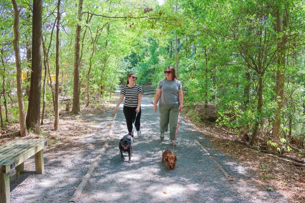 A Dog-Friendly Monroe-West Monroe