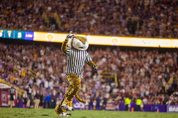 Baton Rouge Sports Review: 15 Years of Momentum, Milestones & Measurable Impact