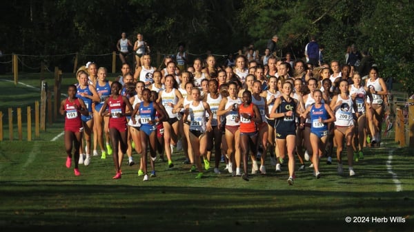 2026 NCAA D1 South Region Cross-Country Championships