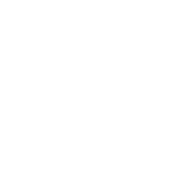 IBJJF Chicago Summer International Open 2026