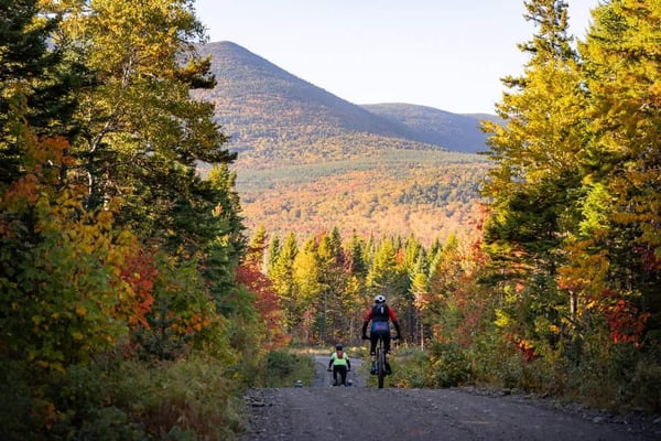  Maine Woods Rambler