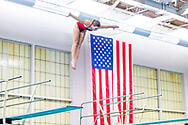2027 Shamrock Dive Meet