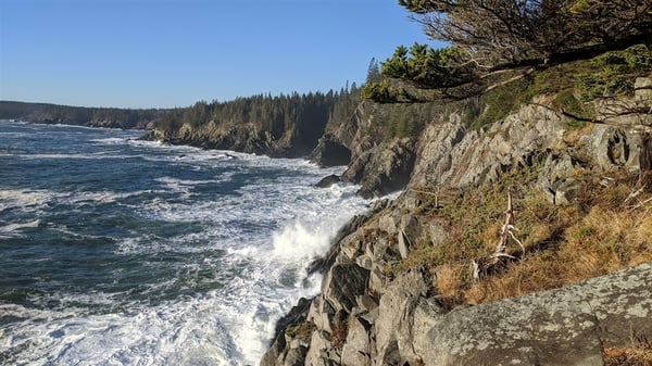 Bold Coast Bash