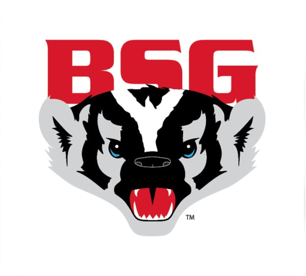 Badger State Winter Games Gymnastics