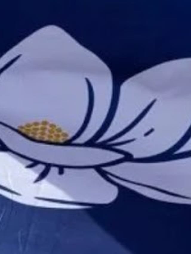 Visit Mississippi