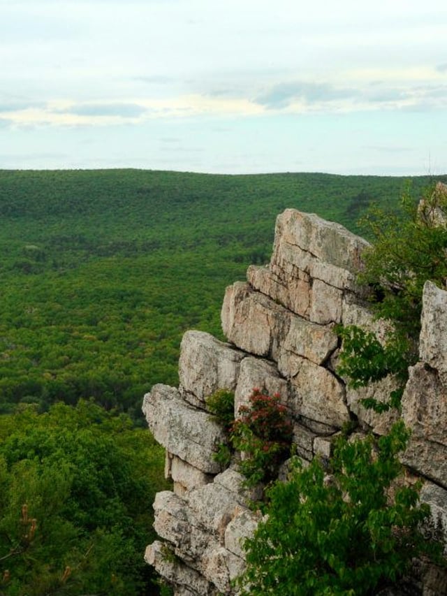 Cumberland County