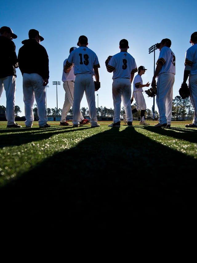 Ripken Baseball