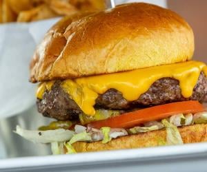 all-american-cheeseburger---Copy_FDDEFE78-0649-AE17-DF714F06D53060E9-fddefdbcaf67dbd_fddf0b9a-dabc-a6d2-0e18e53f9313d463.jpg