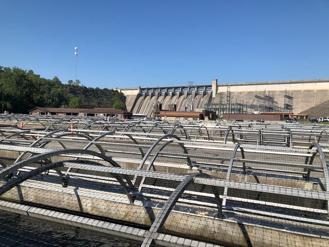 fish-hatchery-branson-missouri.jpg