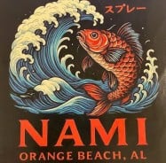 Nami1_1D4F4403-9D3C-8D23-46326ADB2CDB6550-1d4f3ecbe6e3b00_1d4f59a0-a6d0-b0ab-6dbbe58d7e61a7cc.jpg