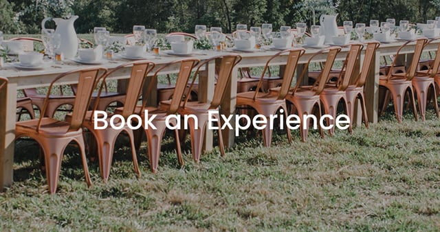 Book An Experience.jpg
