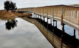 assateague.jpg