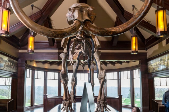 HiRes-JPG-2014_Top-of-the-Rock_Ancient-Ozarks-Natural-History-Museum_Woolly-Mammoth-900x600.jpg