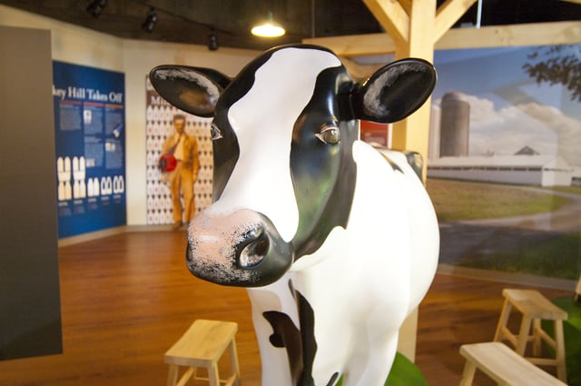milking-cow-exhibit.jpg