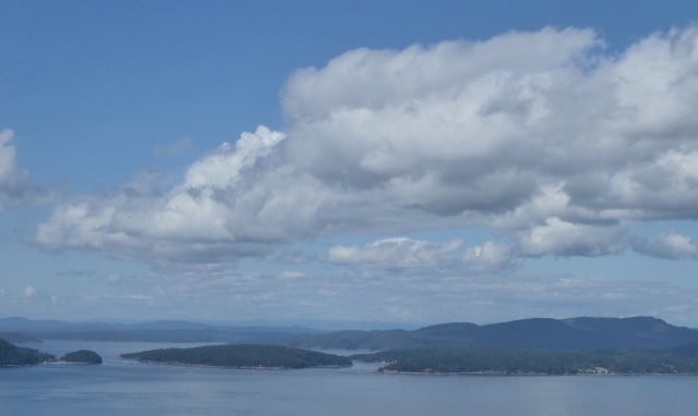 P1250368crop.jpg