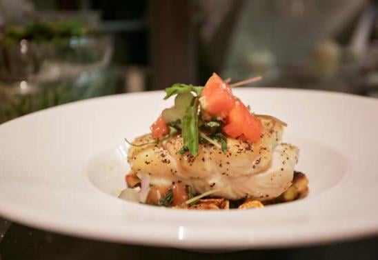 toasted-frog-d87d35545056b36_d87d360c-5056-b365-ab3f5c4fdc2c929f.jpg