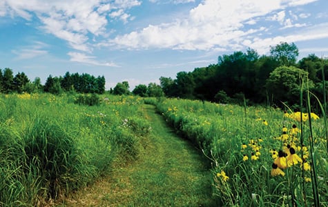 Trail-Prairie-Pathway-August.jpg