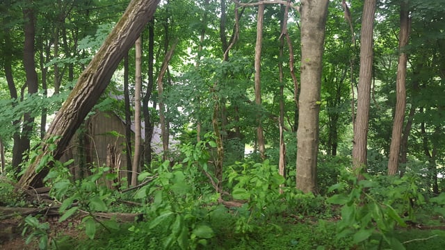 20210619_101638_003-min.jpg