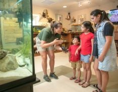 GULF-STATE-PARK-NATURE-CENTER_7_72E86F00-5056-BFCE-A81EB34E701F0749-72e86d625056bfc_72e87561-5056-bfce-a8281834c3b17fac.jpg