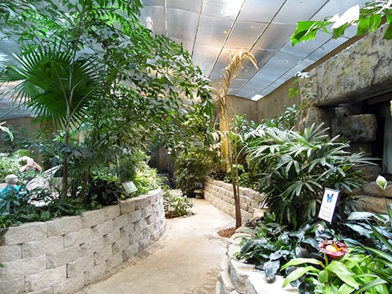 Butterfly_Palace_Walkway.jpg
