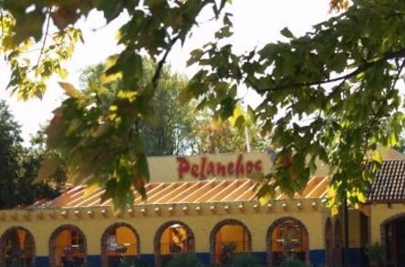 Pelanchos0_abd5936d-5056-a348-3ac2c02c052a448d.jpg