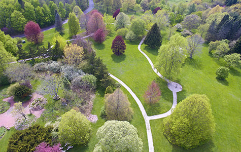 KNC-Arboretum-5-18.jpg