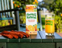 Florida's Natural Grove House Visitor Center .jpeg