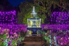 Bellingrath-1_CBF60C93-A4E1-3881-3B9CDF16DBF7298B-cbf6096ea7f84b7_cbf62e64-df06-7699-12e0f7c857e83a35.jpg