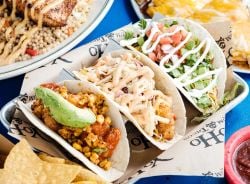 YoHo-Tacos-May-2022-Mike-Buck-9-_7172A9BD-5056-BFCE-A8E2471C900BEBAD-7172a88f5056bfc_7172b06e-5056-bfce-a89ee52bf379aaac.jpg