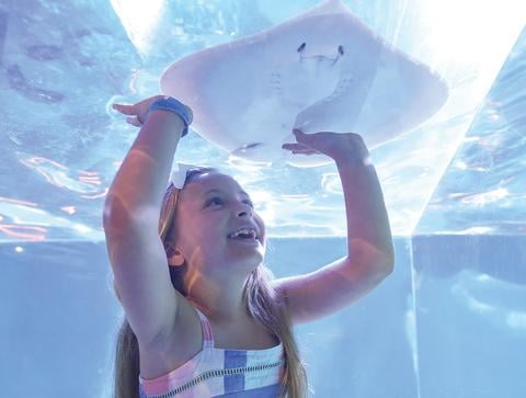 original_Stingray-with-Child_1600x1200-a8e89389d8ec53c.jpg
