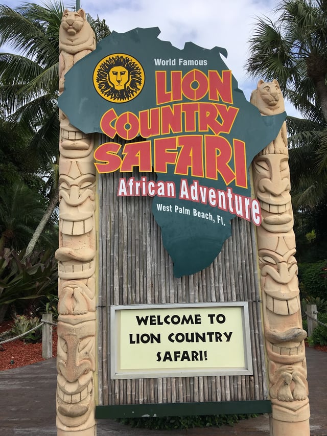 Lion Country Safari