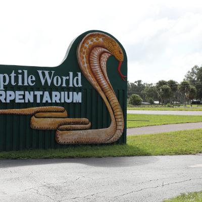 kissimmee-F52A25720-1a4f7e0c5056a36_1a4f811c-5056-a36a-0b8b28819369284d.jpg