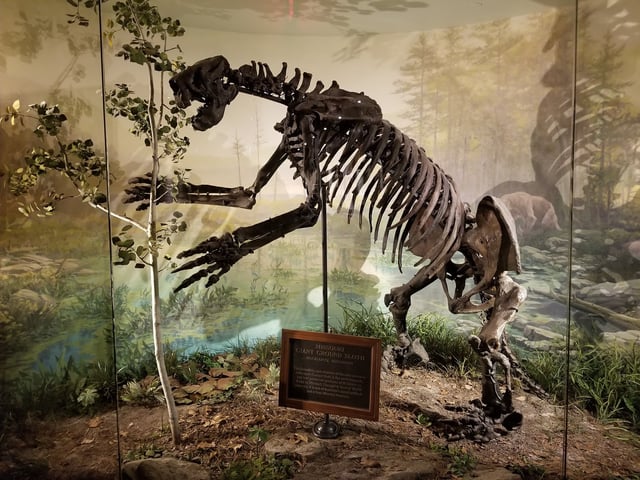 20180917_170501.jpg