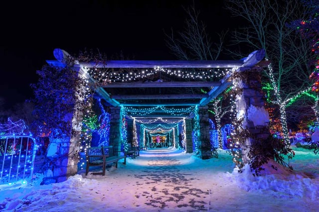 winter-garden-aglow-boise-idaho-1.jpg