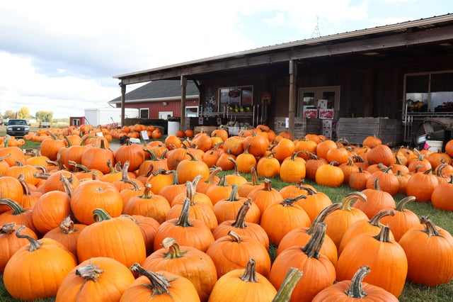 Papas Pumpkins-min.jpg
