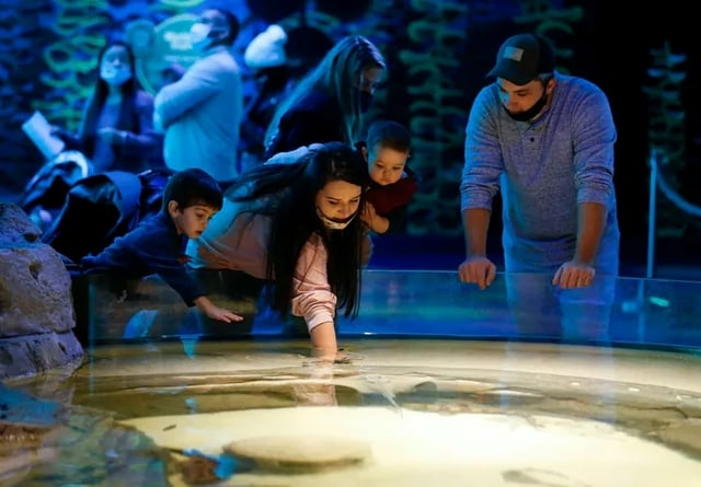 9f5195de-36cd-48da-9c6d-e1d3cc8b0b44-tBranson_Aquarium00284.jpg