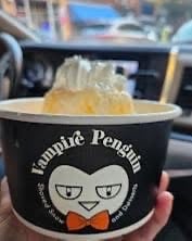 Vampire Penguin_1.jpeg