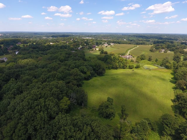 Brinton Run Preserve