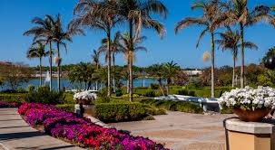 Hollis Garden fl.jpeg