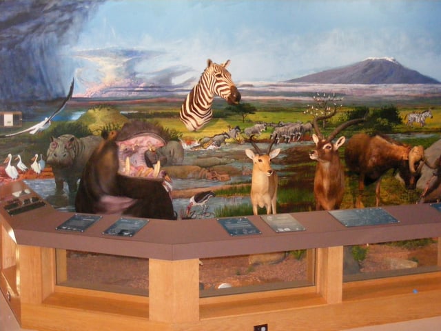 Nixon Animal Mounts.JPG