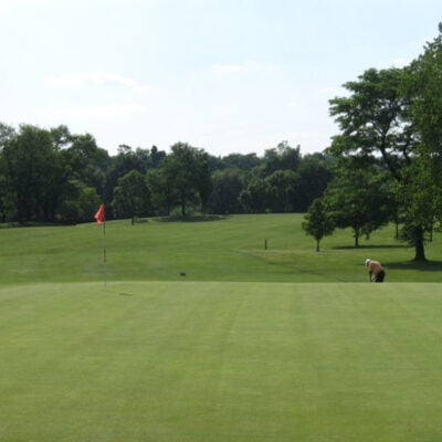 carroll_park0_2b9ff418-b60c-2d9e-f4e8f55c57a26679-400x400-c-default.jpg