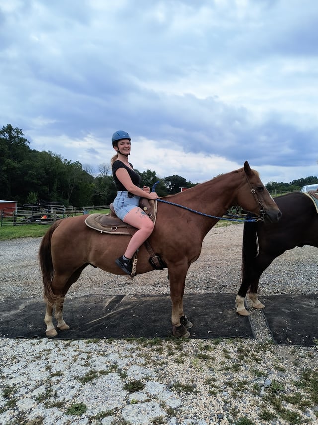 Cloverleaf Stables