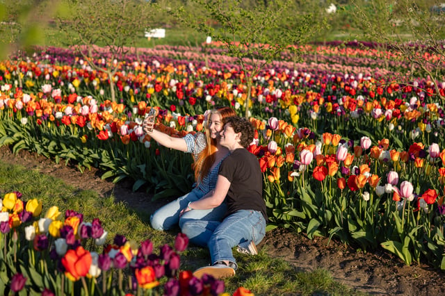 TVF Bloom 4.29.23 -2041.jpg