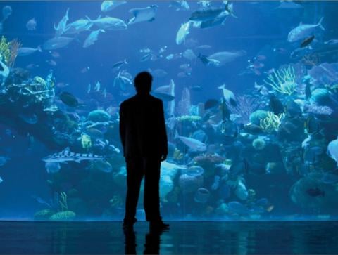 original_SIL_Aquarium.jpg