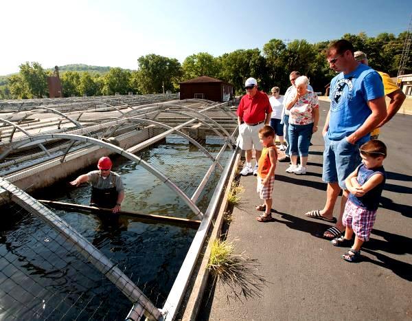 shepherd-of-the-hills-fish-hatchery.jpg