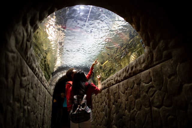 Electric_City_Aquarium_Hiller_630_LCVB (3).jpg